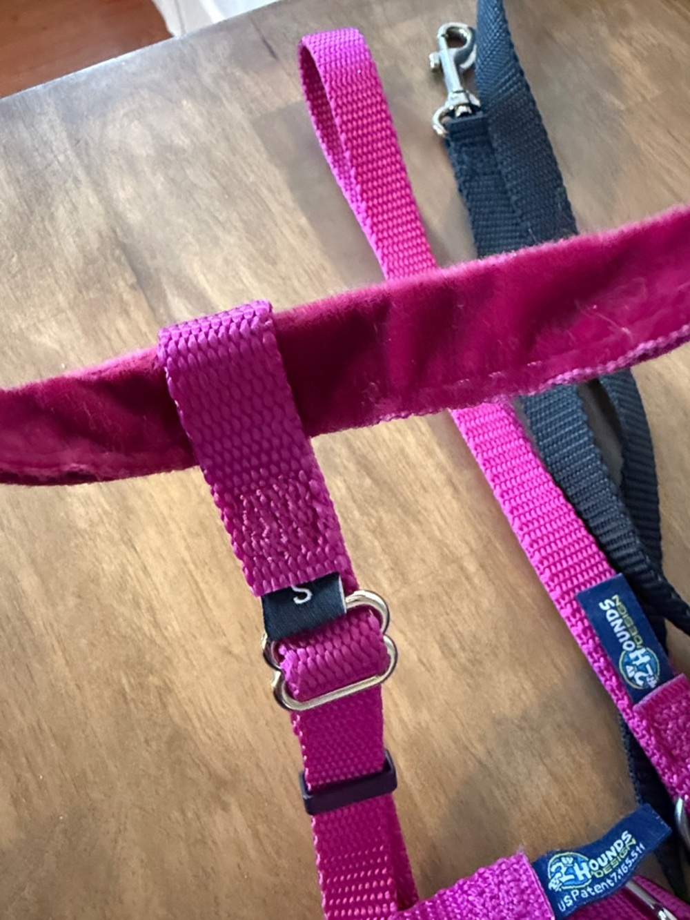 2 Hounds Design: Freedom No-Pull Harness - Picture 3 of 11
